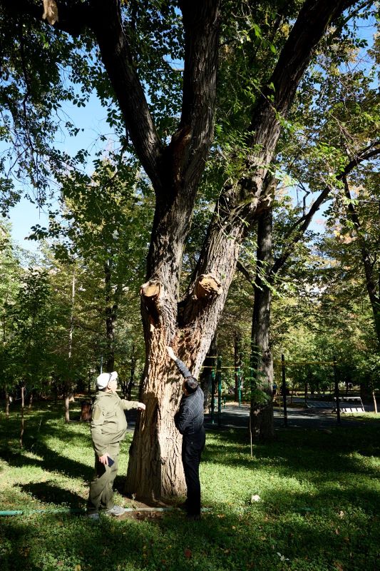 Алматы жасыл қорын жаңғырту үшін ғылым