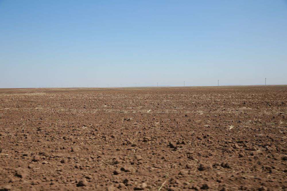 Carbon farming: it's time to move from words to action — kazpravda.kz